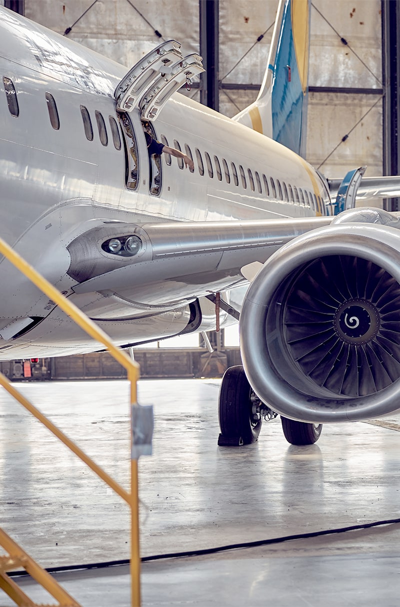 Laser projector ProDirector 7 for composite applications