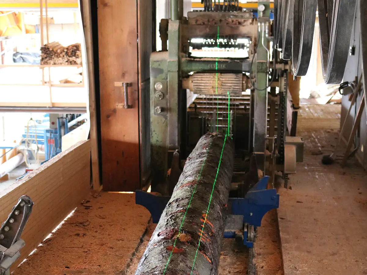 Traitement des grumes avec un laser linéaire